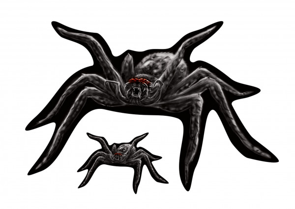 Deko Aufkleber Sticker Spinne Spider Motiv Predator Folie