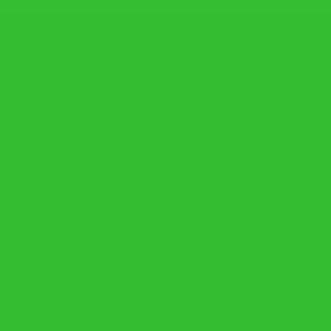 grün ~Pantone 361 C